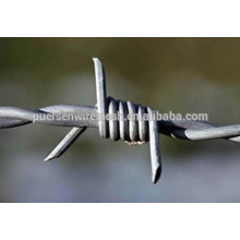 high quality barbed wire (PVC coating/galvanized)